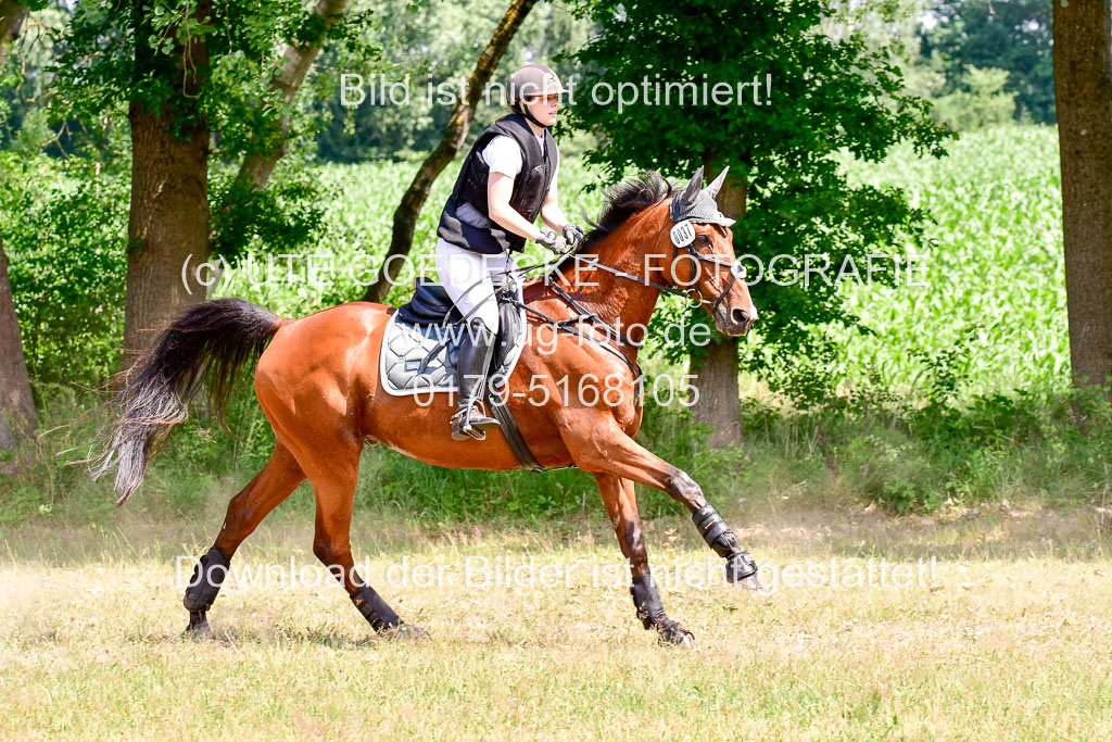 Mechtersen Geläneturnier  27.06.2021 | 270621 Paarklasse  XC _008 