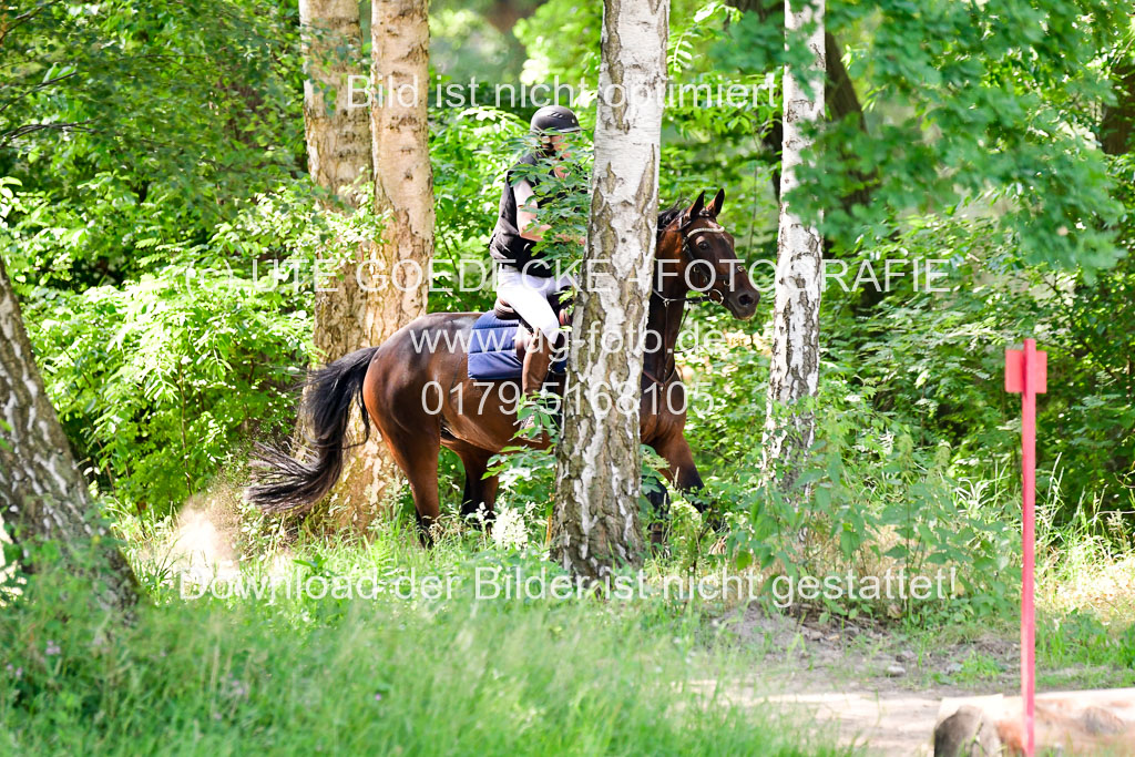 Mechtersen Geläneturnier  27.06.2021 | 270621 Paarklasse  XC _012 