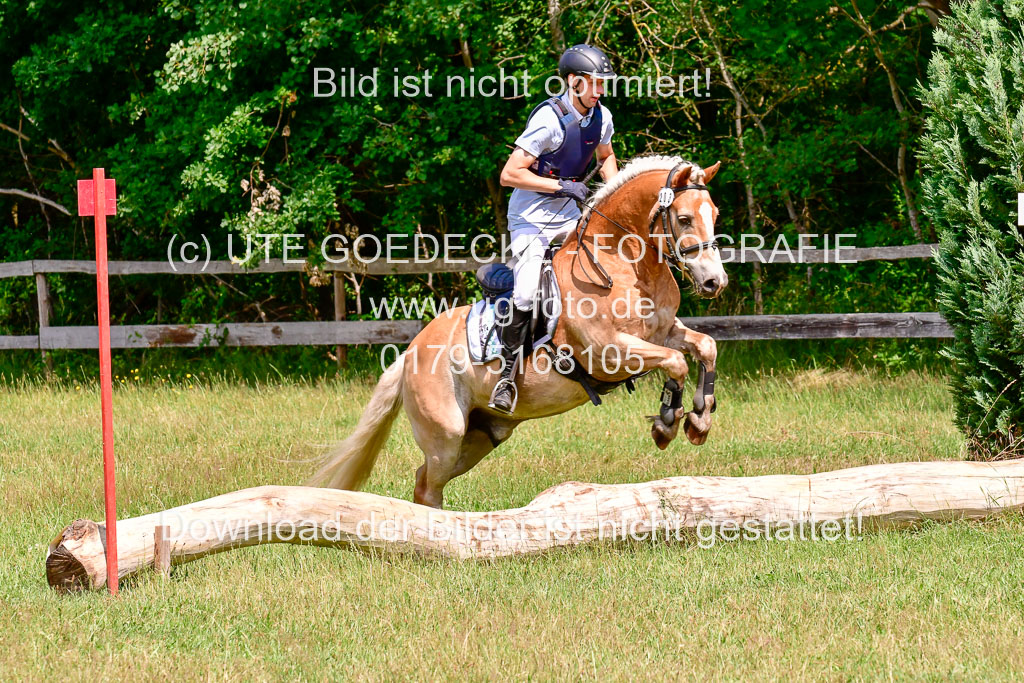 Mechtersen Geläneturnier  27.06.2021 | 270621 Paarklasse  XC _048 