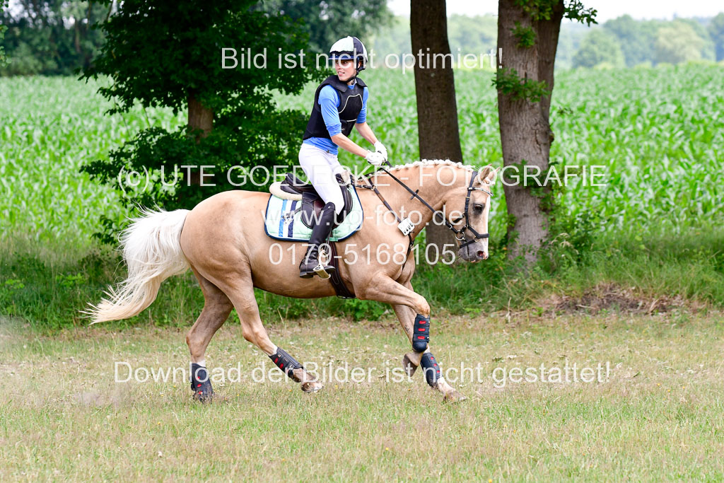 Mechtersen Geläneturnier  27.06.2021 | 270621 Paarklasse  XC _076 