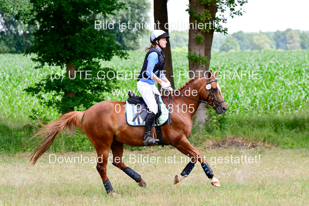 Mechtersen Geläneturnier  27.06.2021 | 270621 Paarklasse  XC _078 