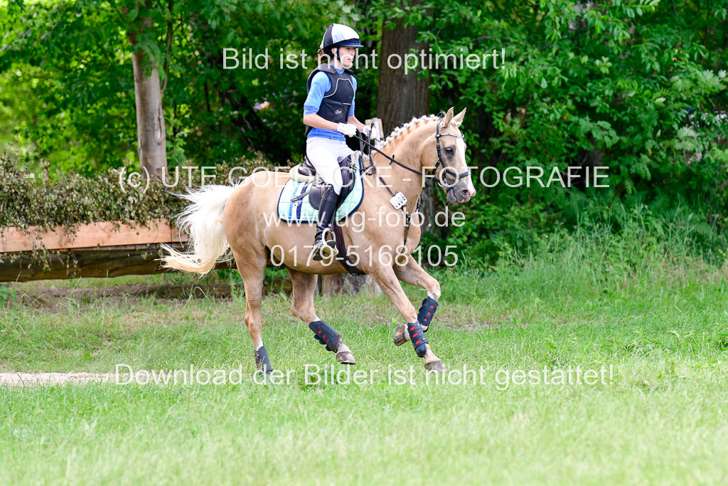Mechtersen Geläneturnier  27.06.2021 | 270621 Paarklasse  XC _081 