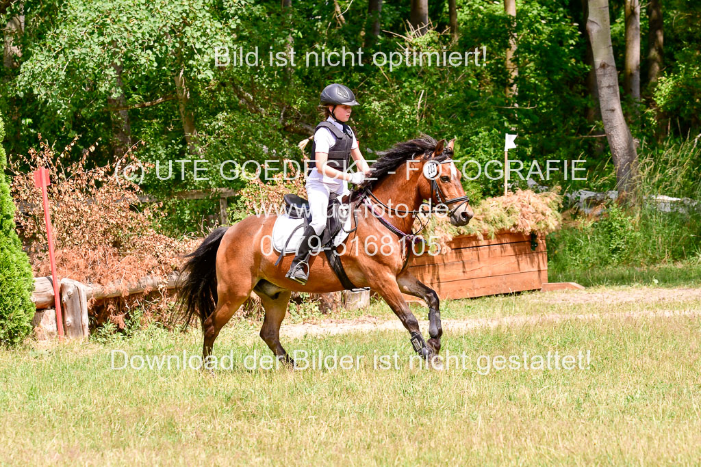 Mechtersen Geläneturnier  27.06.2021 | 270621 Paarklasse  XC _200 