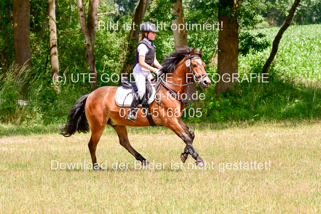 Mechtersen Geläneturnier  27.06.2021 | 270621 Paarklasse  XC _202 