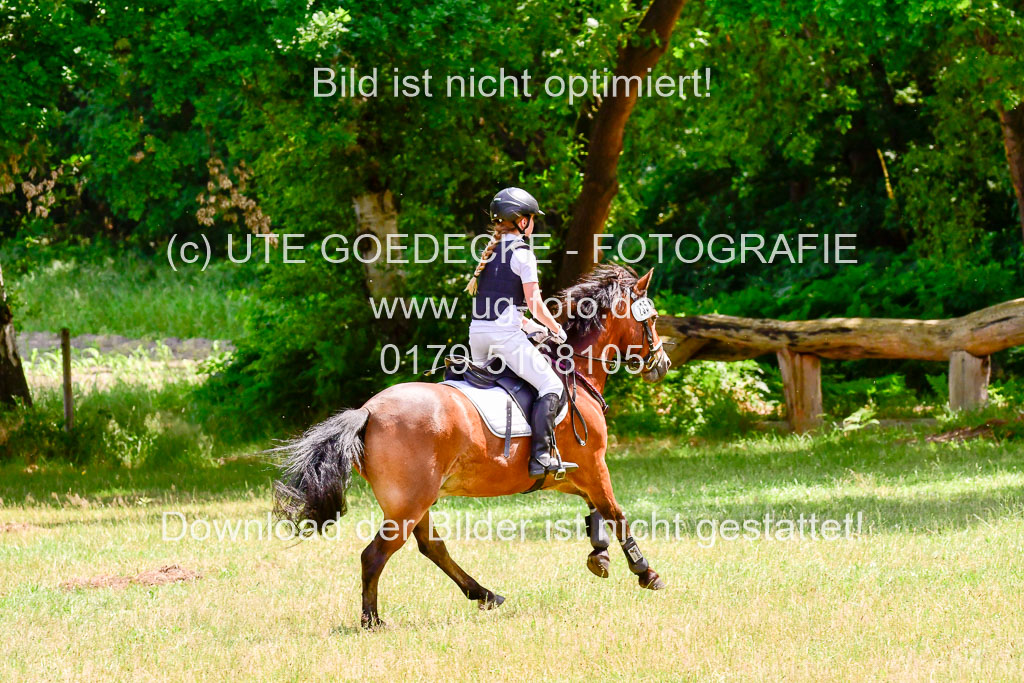 Mechtersen Geläneturnier  27.06.2021 | 270621 Paarklasse  XC _204 