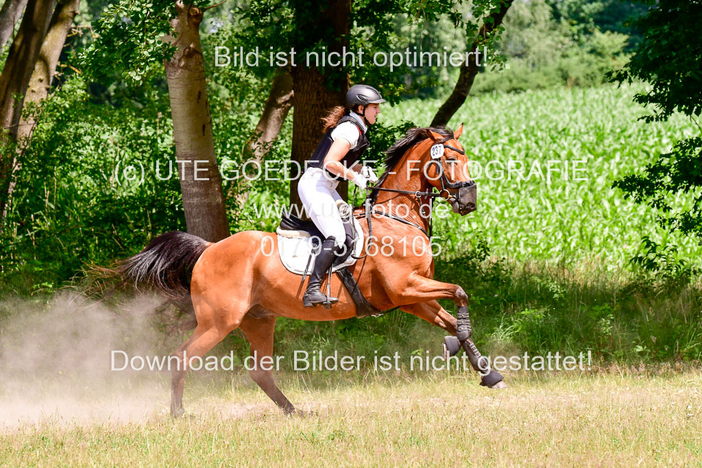 Mechtersen Geläneturnier  27.06.2021 | 270621 Paarklasse  XC _222 