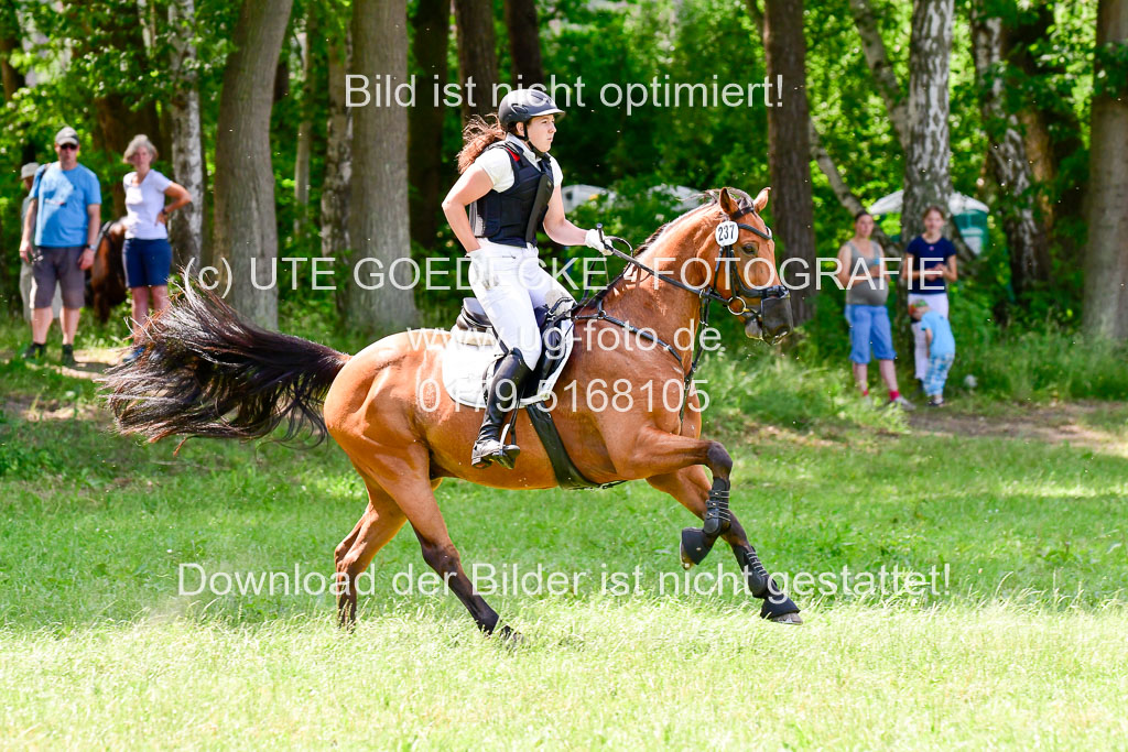 Mechtersen Geläneturnier  27.06.2021 | 270621 Paarklasse  XC _232 