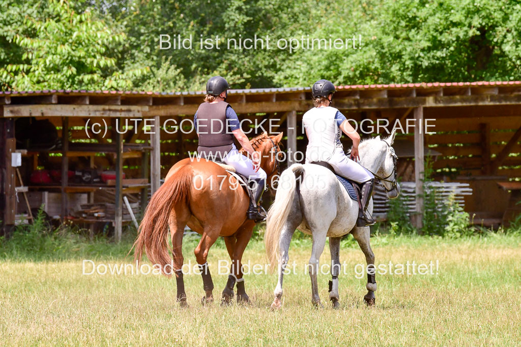 Mechtersen Geläneturnier  27.06.2021 | 270621 Paarklasse  XC _233 