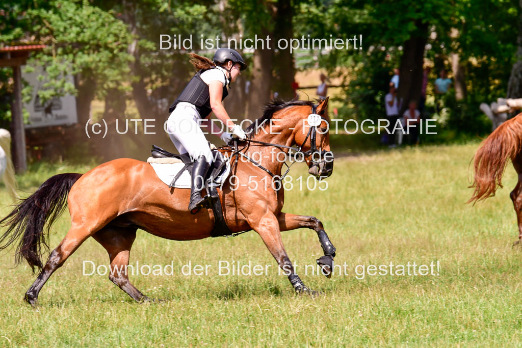 Mechtersen Geläneturnier  27.06.2021 | 270621 Paarklasse  XC _235 