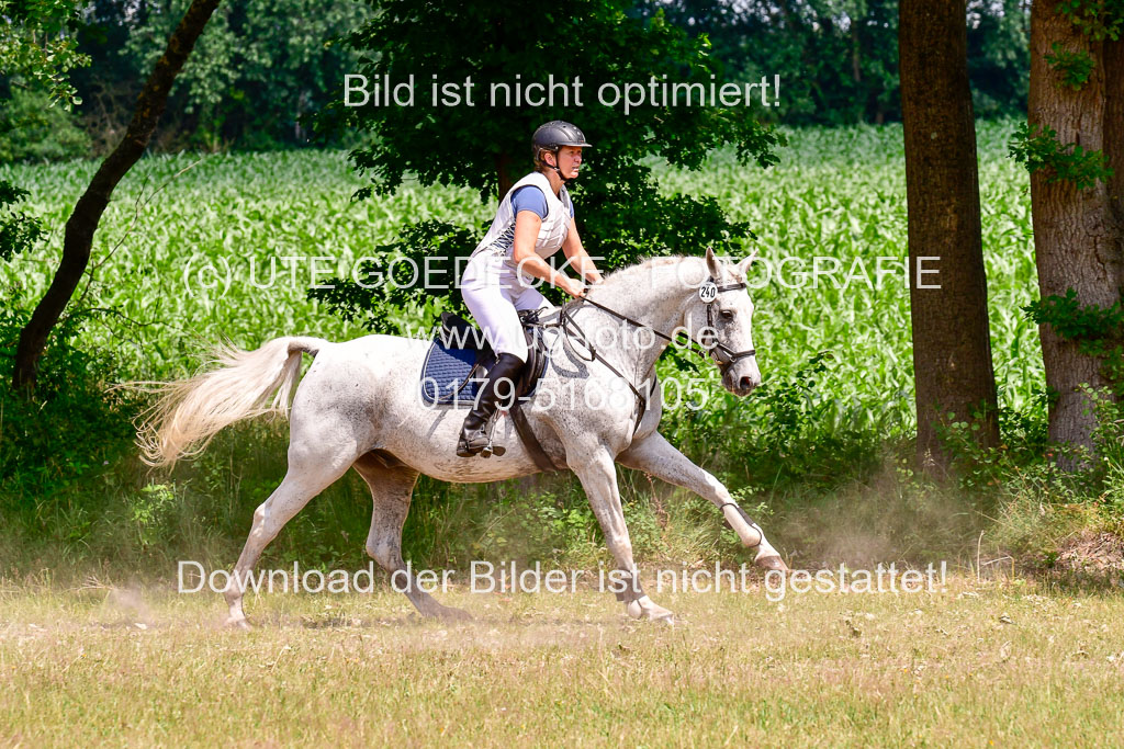 Mechtersen Geläneturnier  27.06.2021 | 270621 Paarklasse  XC _246 