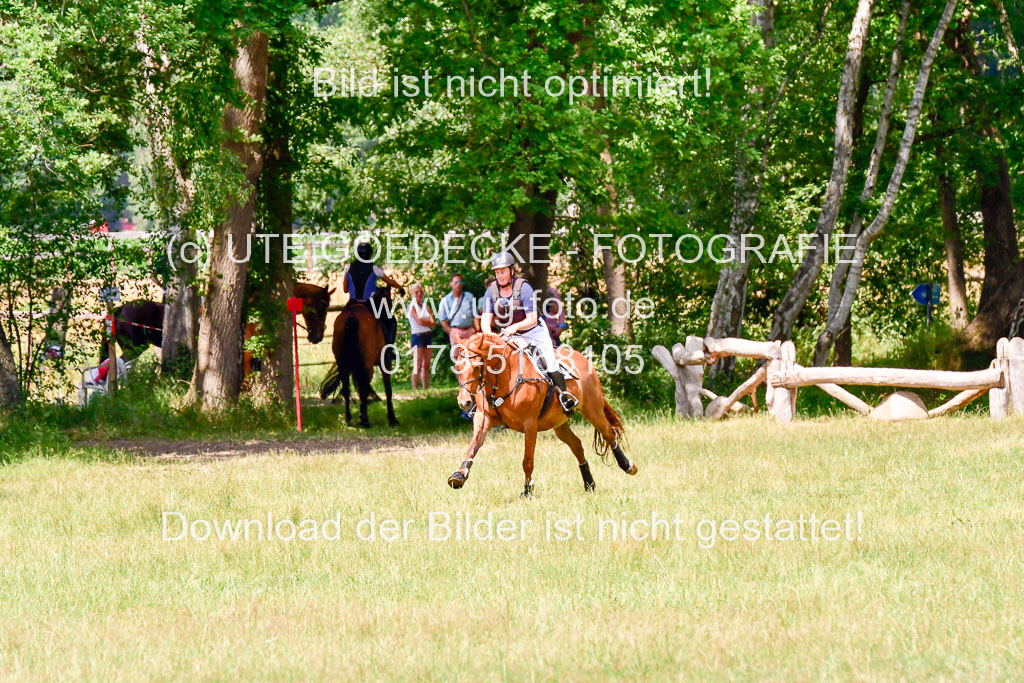 Mechtersen Geläneturnier  27.06.2021 | 270621 Paarklasse  XC _252 