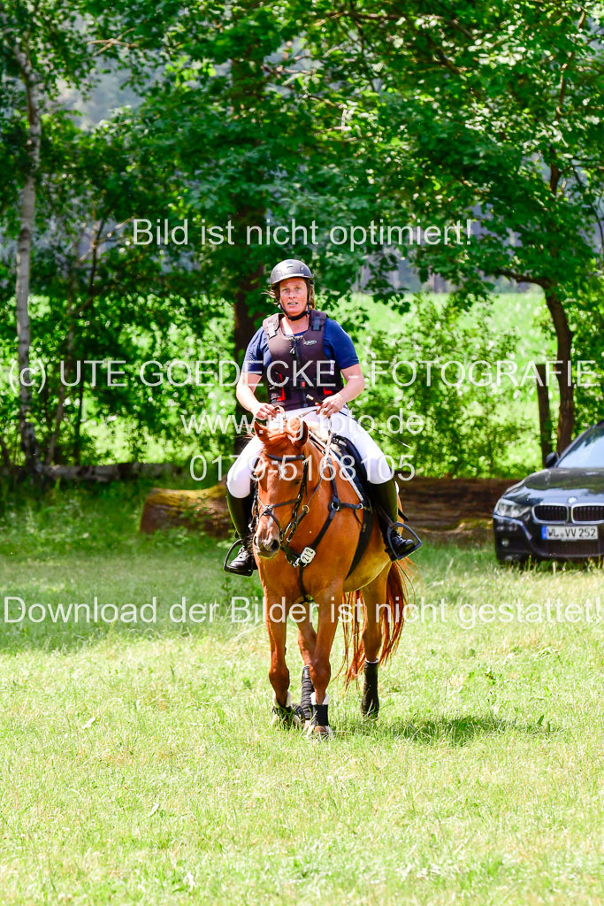 Mechtersen Geläneturnier  27.06.2021 | 270621 Paarklasse  XC _254 