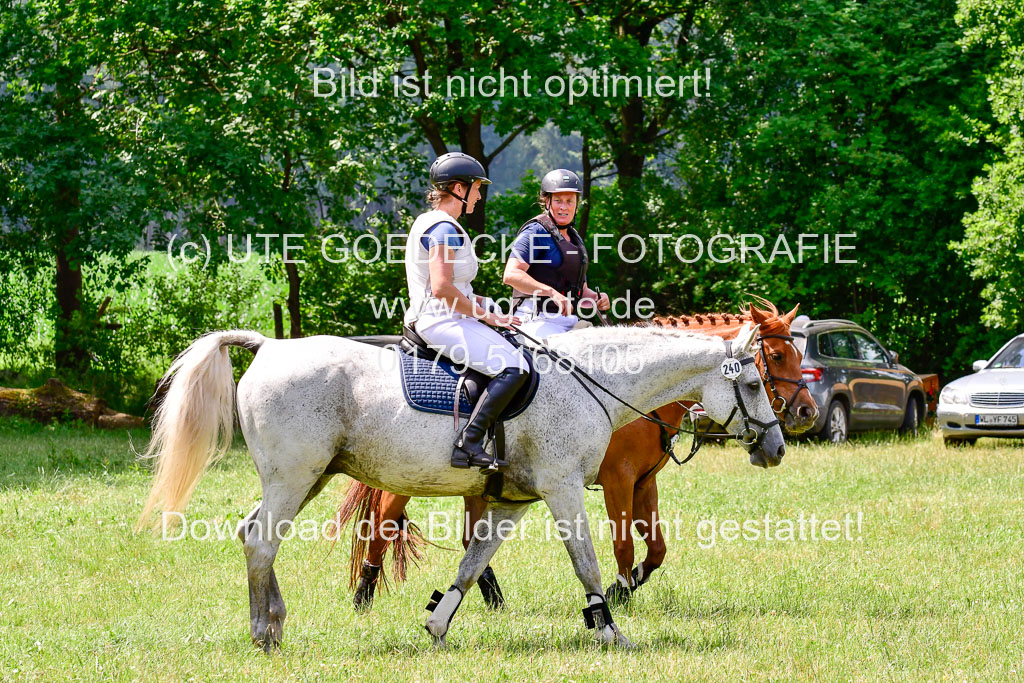 Mechtersen Geläneturnier  27.06.2021 | 270621 Paarklasse  XC _257 