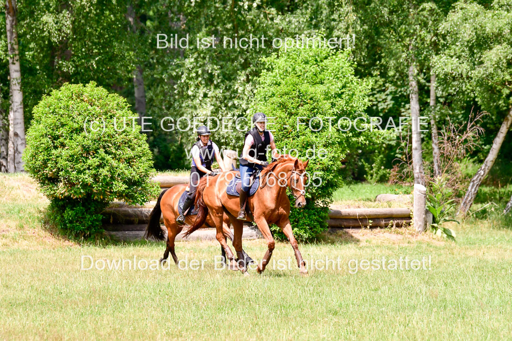Mechtersen Geläneturnier  27.06.2021 | 270621 Paarklasse  XC _259 