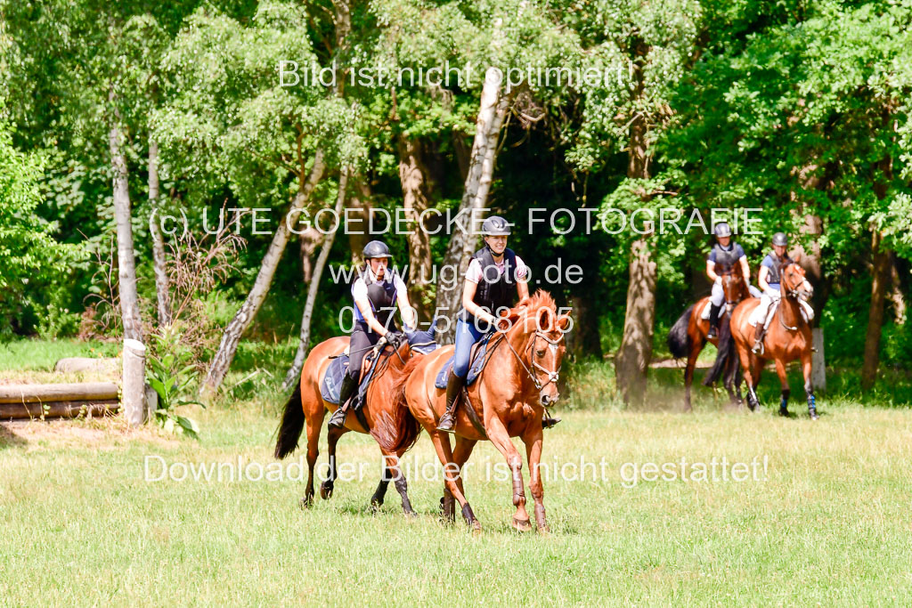 Mechtersen Geläneturnier  27.06.2021 | 270621 Paarklasse  XC _260 
