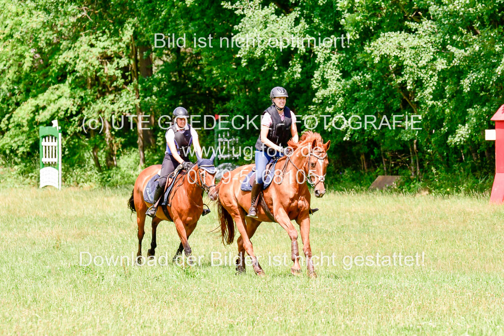 Mechtersen Geläneturnier  27.06.2021 | 270621 Paarklasse  XC _262 