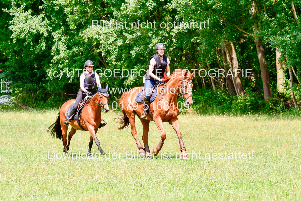 Mechtersen Geläneturnier  27.06.2021 | 270621 Paarklasse  XC _263 
