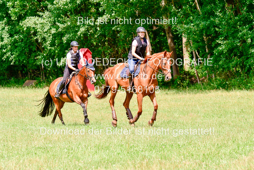 Mechtersen Geläneturnier  27.06.2021 | 270621 Paarklasse  XC _264 