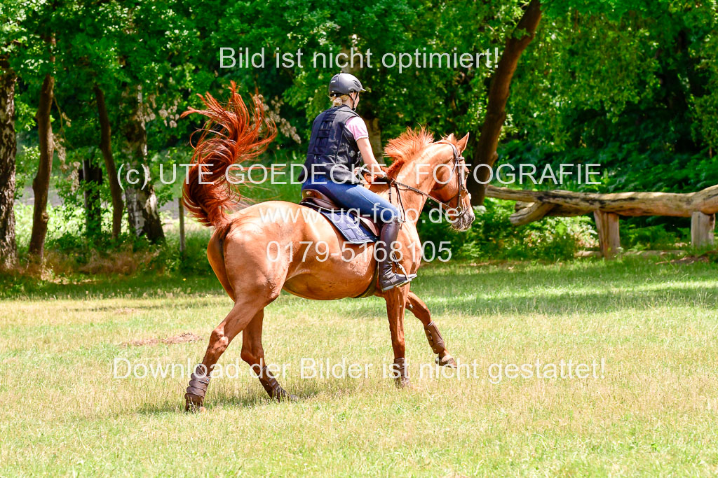 Mechtersen Geläneturnier  27.06.2021 | 270621 Paarklasse  XC _268 