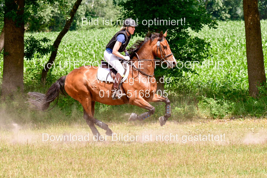 Mechtersen Geläneturnier  27.06.2021 | 270621 Paarklasse  XC _293 