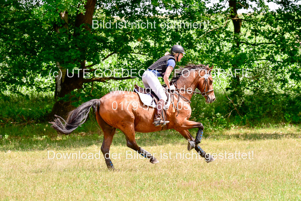 Mechtersen Geläneturnier  27.06.2021 | 270621 Paarklasse  XC _295 