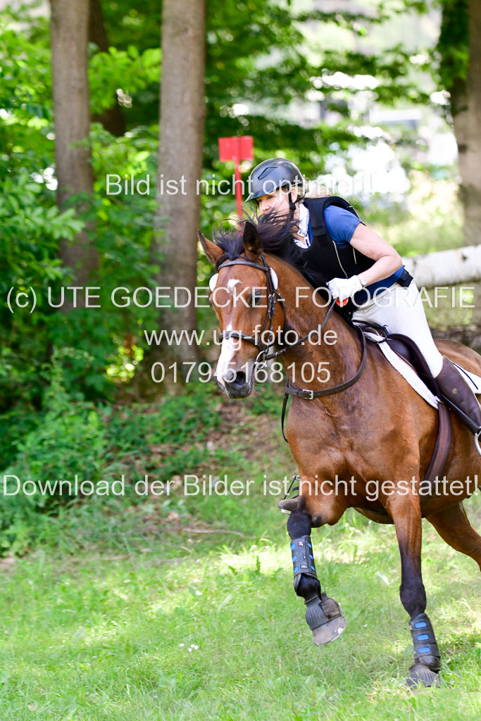 Mechtersen Geläneturnier  27.06.2021 | 270621 Paarklasse  XC _303 