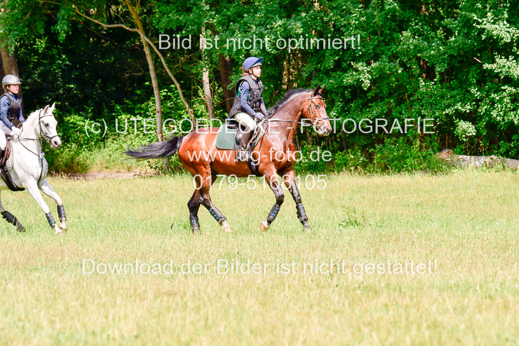 Mechtersen Geläneturnier  27.06.2021 | 270621 Paarklasse  XC _311 