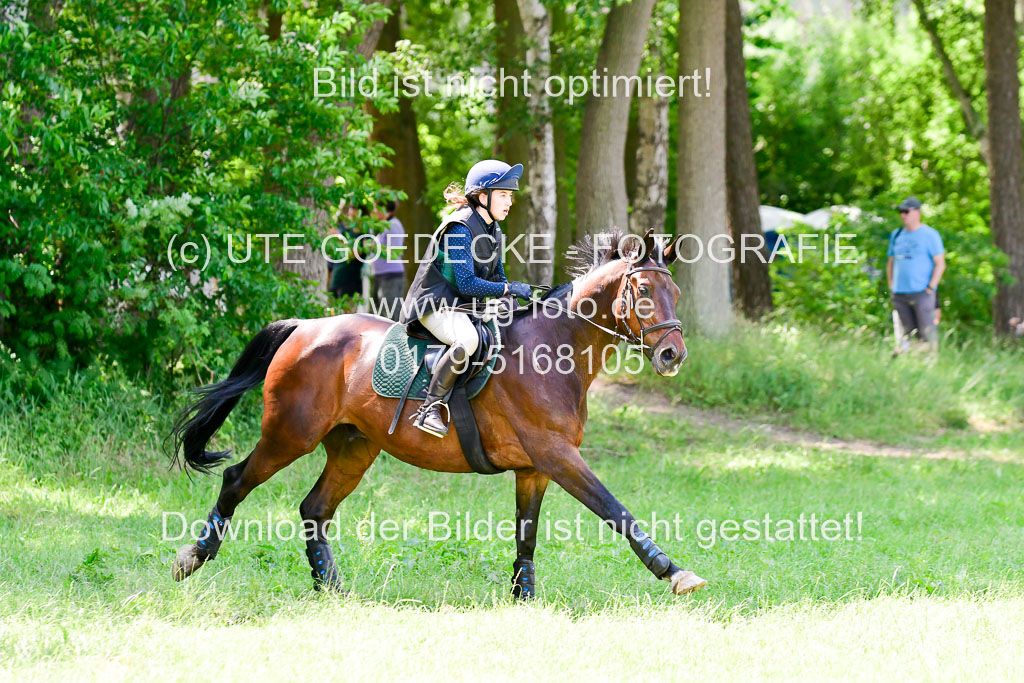 Mechtersen Geläneturnier  27.06.2021 | 270621 Paarklasse  XC _322 