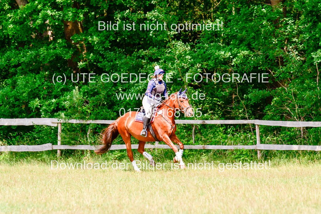 Mechtersen Geläneturnier  27.06.2021 | 270621 Paarklasse  XC _331 