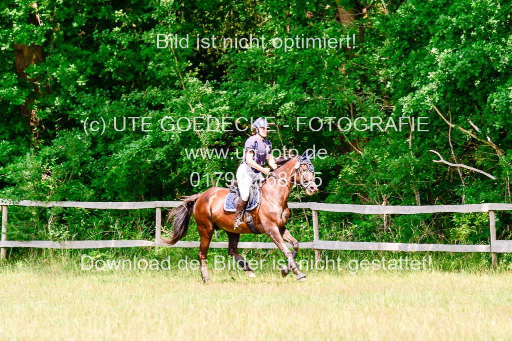 Mechtersen Geläneturnier  27.06.2021 | 270621 Paarklasse  XC _342 