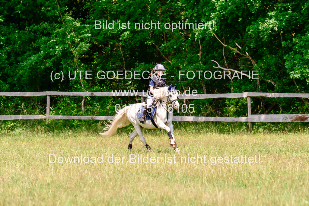 Mechtersen Geläneturnier  27.06.2021 | 270621 Paarklasse  XC _343 