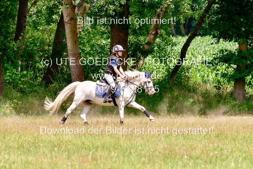 Mechtersen Geläneturnier  27.06.2021 | 270621 Paarklasse  XC _345 