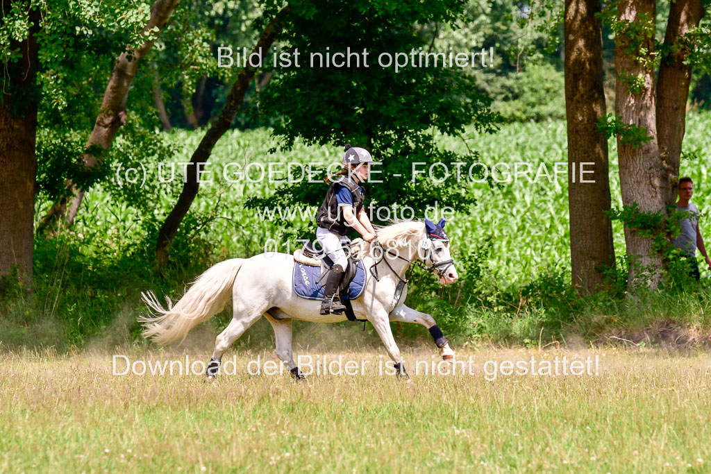 Mechtersen Geläneturnier  27.06.2021 | 270621 Paarklasse  XC _346 