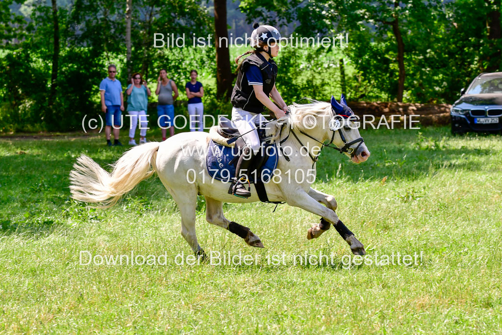 Mechtersen Geläneturnier  27.06.2021 | 270621 Paarklasse  XC _354 