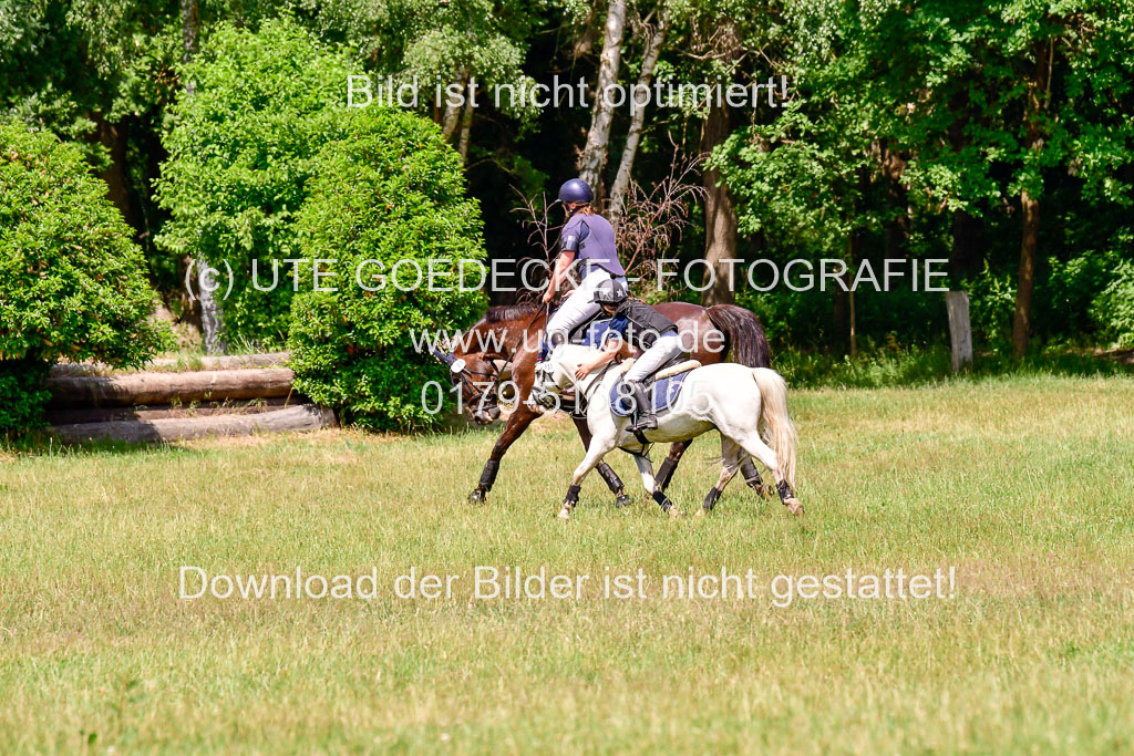 Mechtersen Geläneturnier  27.06.2021 | 270621 Paarklasse  XC _359 