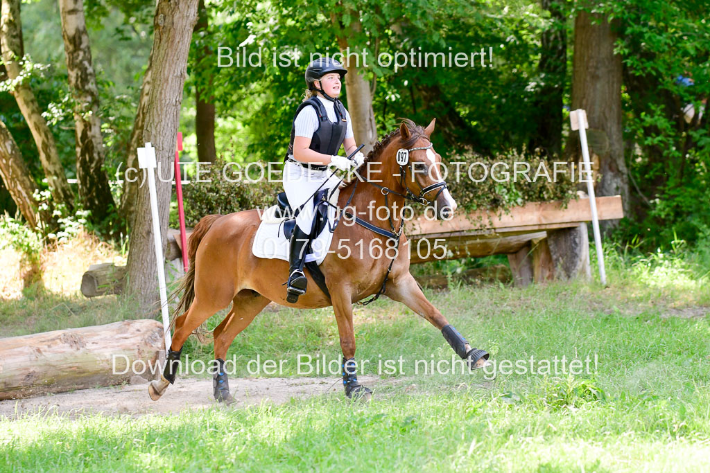 Mechtersen Geläneturnier  27.06.2021 | 270621 Paarklasse  XC _380 