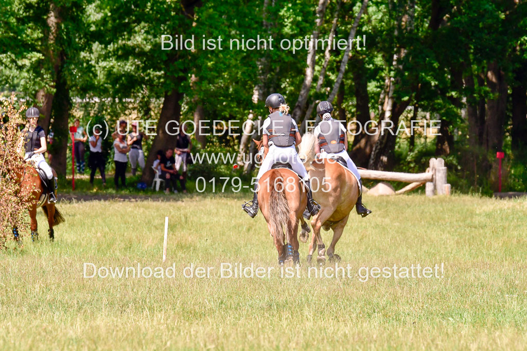 Mechtersen Geläneturnier  27.06.2021 | 270621 Paarklasse  XC _384 