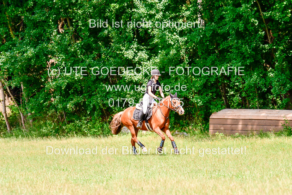 Mechtersen Geläneturnier  27.06.2021 | 270621 Paarklasse  XC _391 