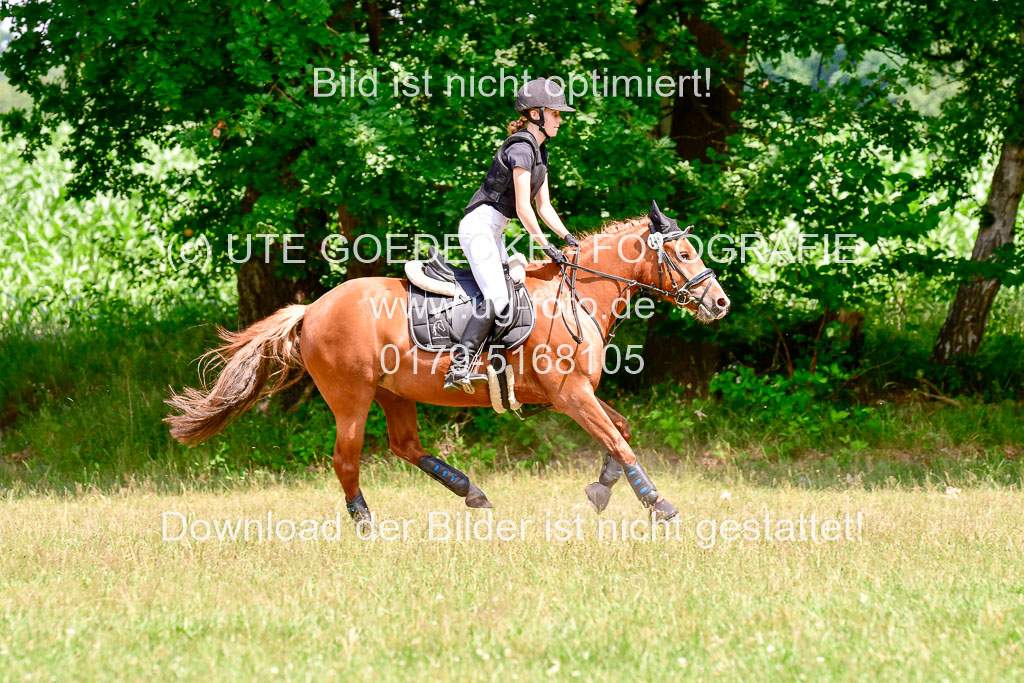 Mechtersen Geläneturnier  27.06.2021 | 270621 Paarklasse  XC _399 