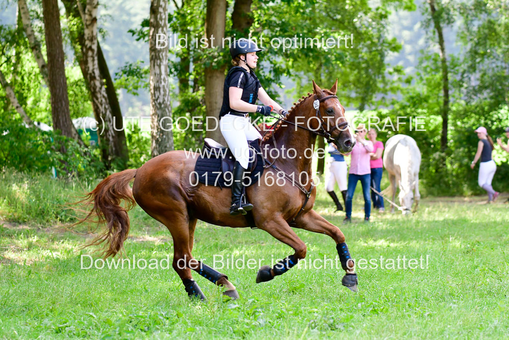 Mechtersen Geläneturnier  27.06.2021 | 270621 Paarklasse  XC _403 