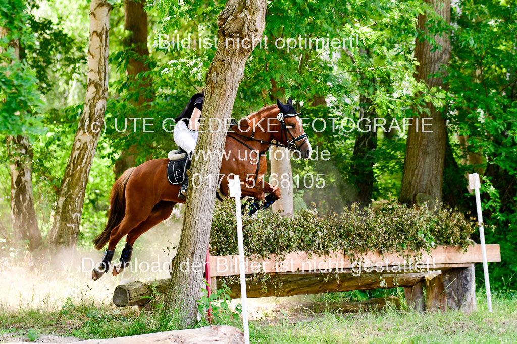 Mechtersen Geläneturnier  27.06.2021 | 270621 Paarklasse  XC _404 