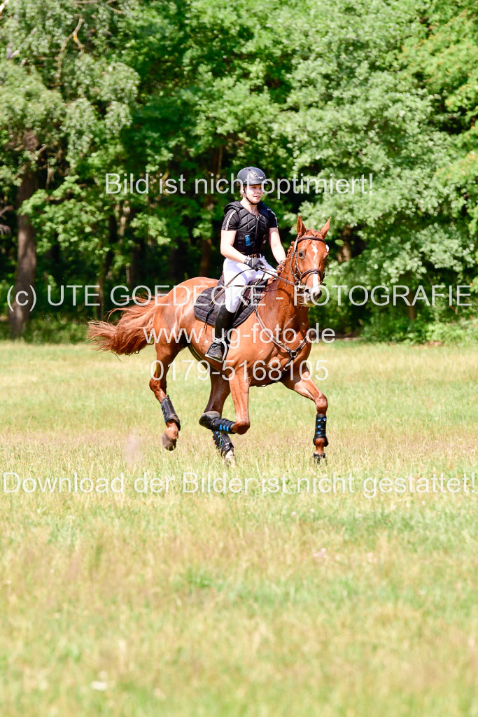 Mechtersen Geläneturnier  27.06.2021 | 270621 Paarklasse  XC _414 