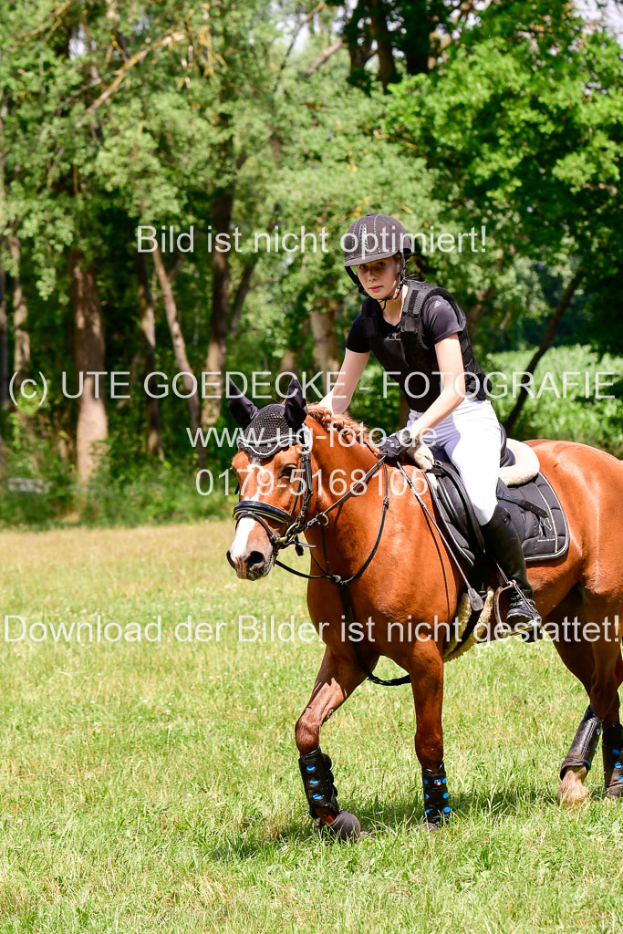 Mechtersen Geläneturnier  27.06.2021 | 270621 Paarklasse  XC _417 