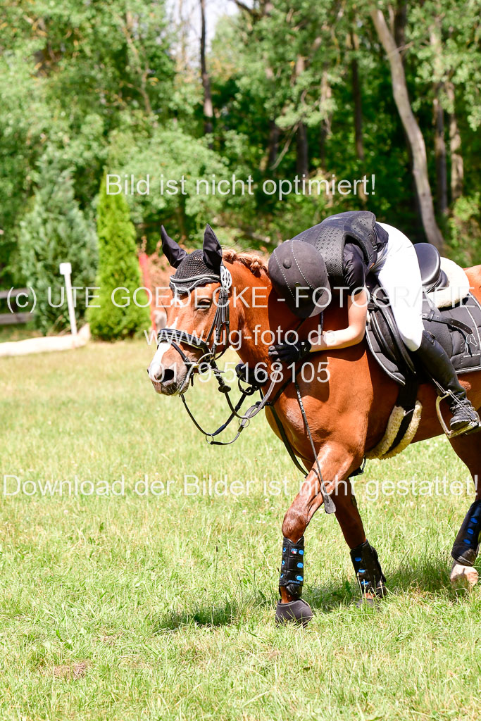 Mechtersen Geläneturnier  27.06.2021 | 270621 Paarklasse  XC _418 