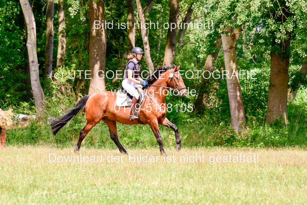 Mechtersen Geläneturnier  27.06.2021 | 270621 Paarklasse  XC _426 