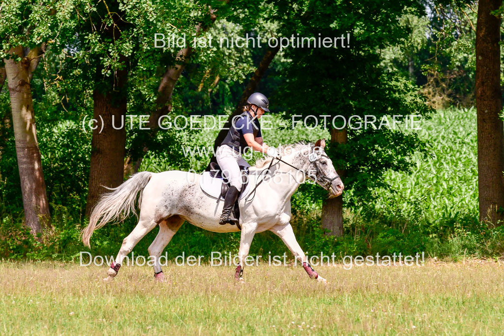 Mechtersen Geläneturnier  27.06.2021 | 270621 Paarklasse  XC _427 