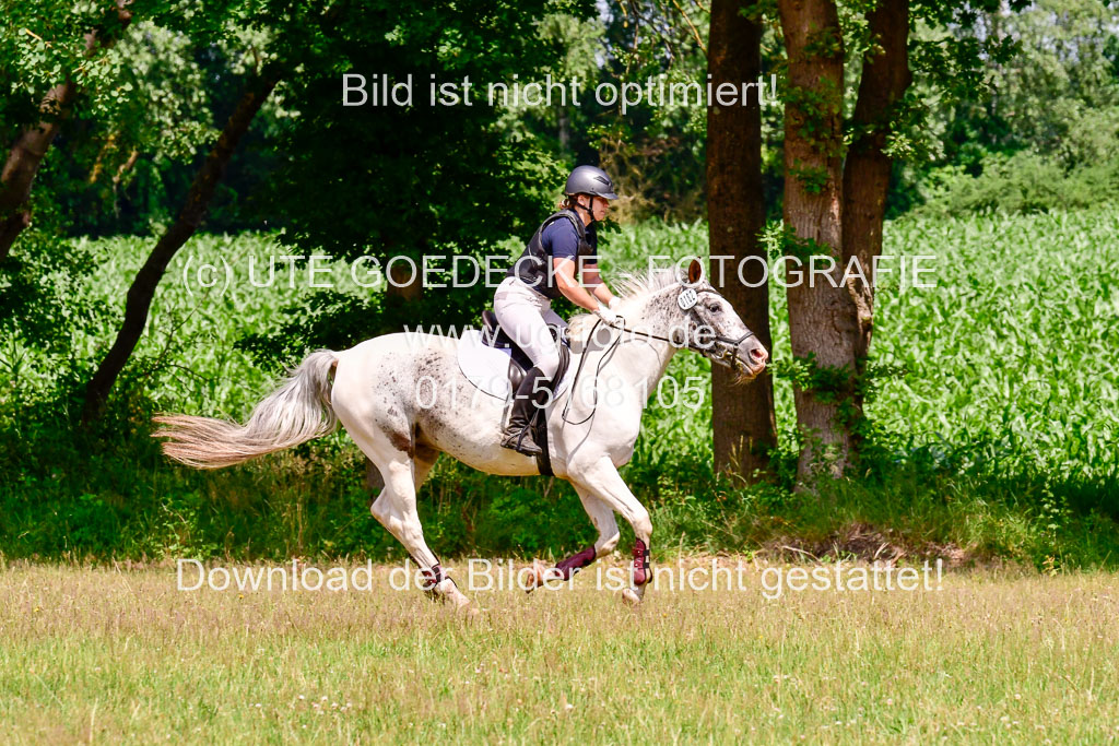 Mechtersen Geläneturnier  27.06.2021 | 270621 Paarklasse  XC _428 