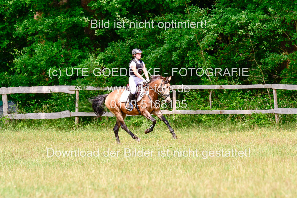 Mechtersen Geläneturnier  27.06.2021 | 270621 Paarklasse  XC _446 