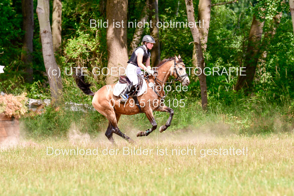 Mechtersen Geläneturnier  27.06.2021 | 270621 Paarklasse  XC _450 