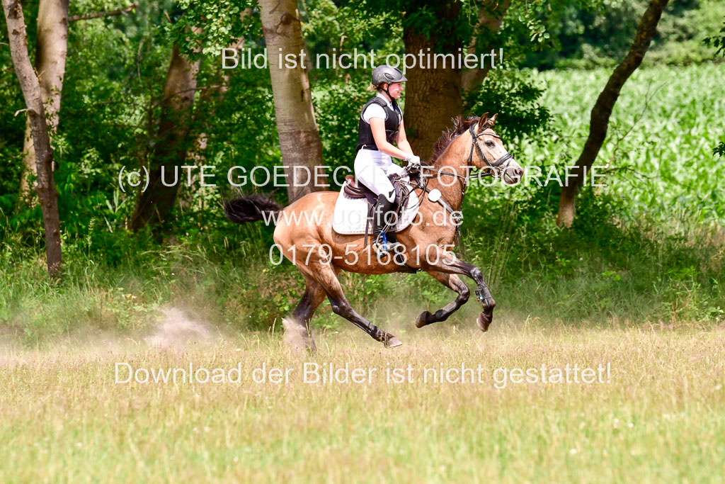 Mechtersen Geläneturnier  27.06.2021 | 270621 Paarklasse  XC _451 